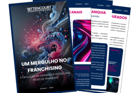 E-book Um Mergulho no Franchising